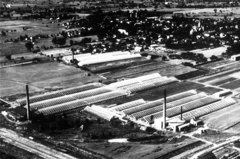 An aerial view of the greenhouses in Richmond Hill